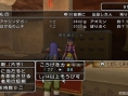 Dragon Quest X : nouvelles images