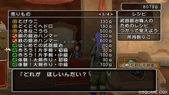 Dragon Quest X : nouvelles images