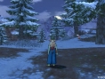 Screens Dragon Quest X