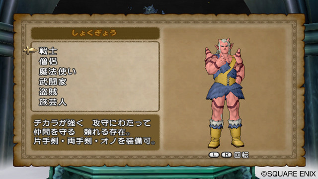 Dragon Quest X : le plein d'images