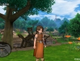 Screens Dragon Quest X