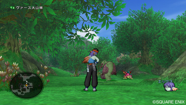 Screens Dragon Quest X