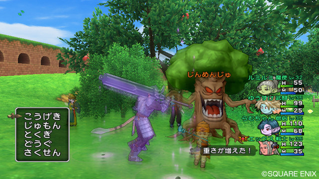Screens Dragon Quest X