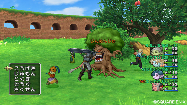Images Dragon Quest X
