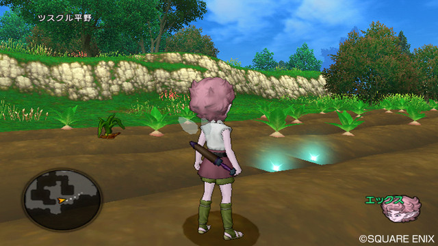 Screens Dragon Quest X