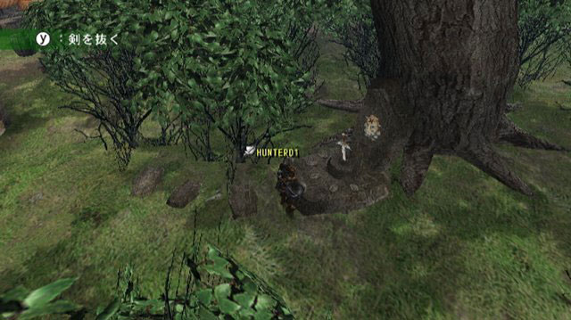 Monster Hunter G Wii : premières images officielles