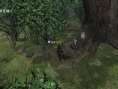 Monster Hunter G Wii : premières images officielles