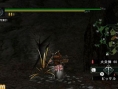 New ingame pictures for Monster Hunter G