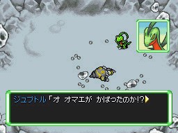 Captures terre-à-terre de Pokémon : Explorateurs du Ciel
