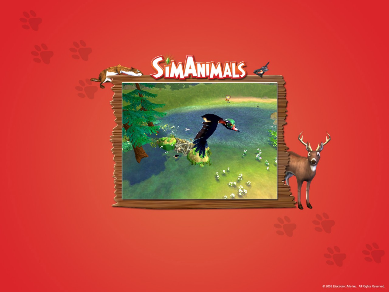 SimAnimals sort ses griffes
