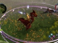 Sacred 2 : PS3 version : the screenshots