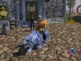 Sacred 2 : PS3 version : the screenshots