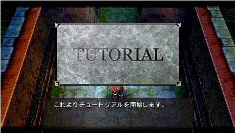 Brandish The Dark Revenant : un dédale d'images