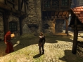 Divinity II : Ego Draconis fait le beau