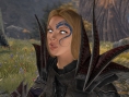 Divinity II : Ego Draconis fait le beau