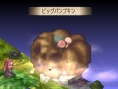 Phantom Brave : many pictures