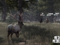 Red Dead Redemption: new images
