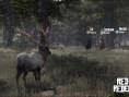 Red Dead Redemption: new images