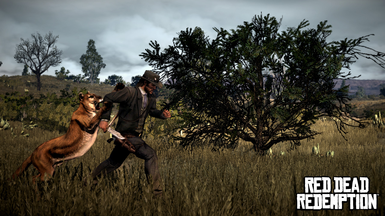 Red Dead Redemption : deux DLC de plus