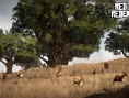 Red Dead Redemption: new images
