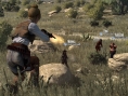 Red Dead Redemption: new images of DLC