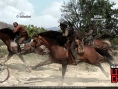 Red Dead Redemption: new images of DLC