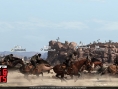 Red Dead Redemption: new images of DLC
