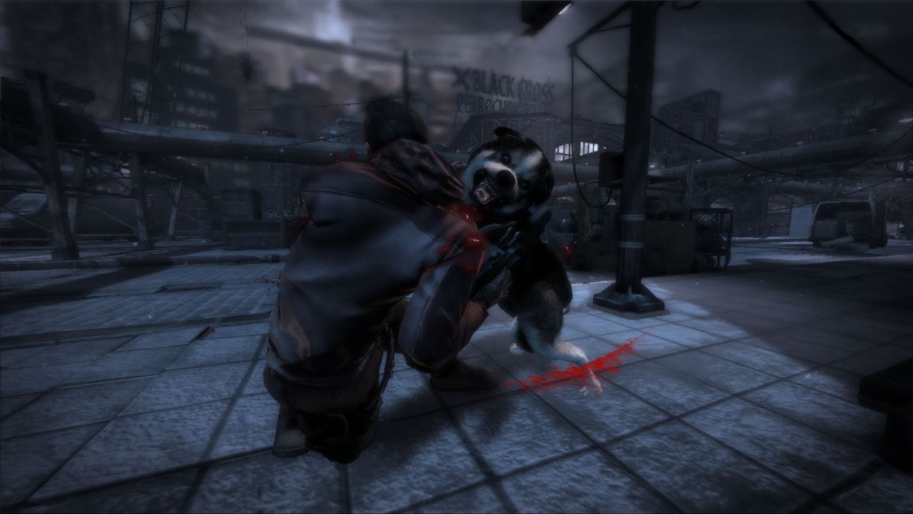 Video and screens of Dead to Rights : Retribution 