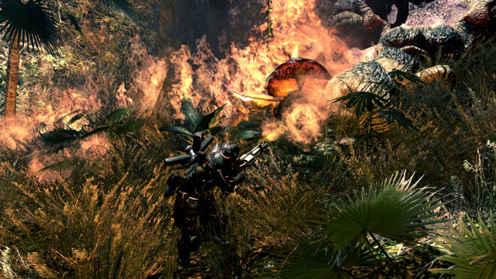 Lost Planet 2 : une vidéo bestiale