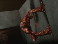 Images toutes fraiches de RE : The Darkside Chronicles