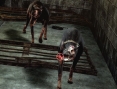 Images toutes fraiches de RE : The Darkside Chronicles