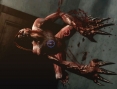 Images toutes fraiches de RE : The Darkside Chronicles