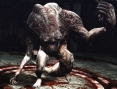 Images toutes fraiches de RE : The Darkside Chronicles