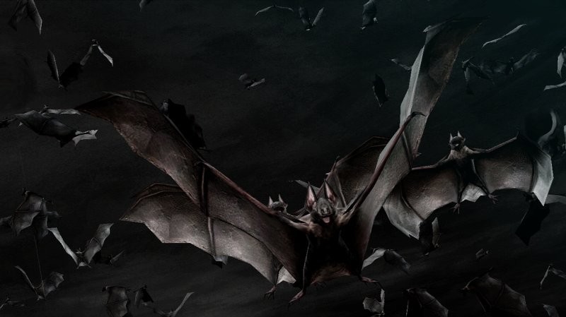 Resident Evil Darkside Chronicles : un peu plus de Code Veronica