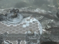 Resonance of Fate fait le plein d'images