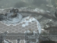 Resonance of Fate: new images