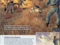 Fallout New Vegas: new images