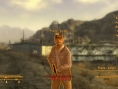 Fallout new Vegas: a new video