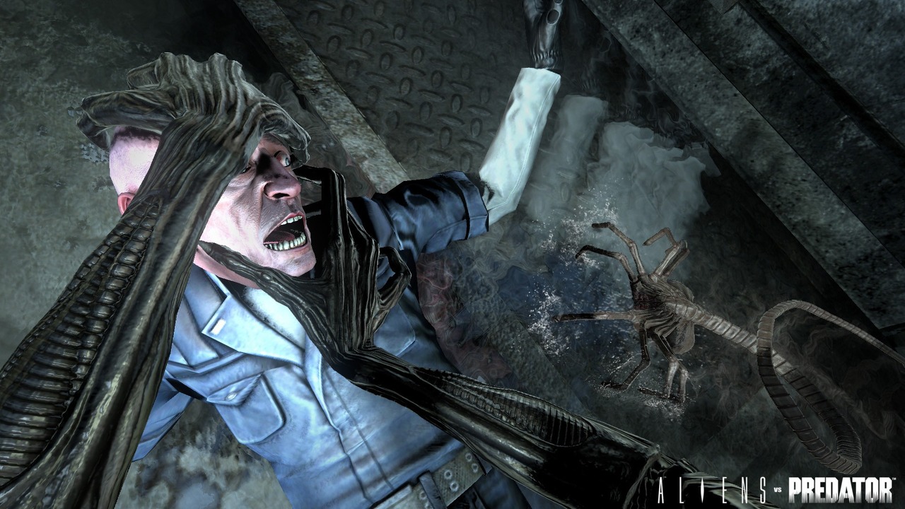Aliens vs Predator : la chasse en images