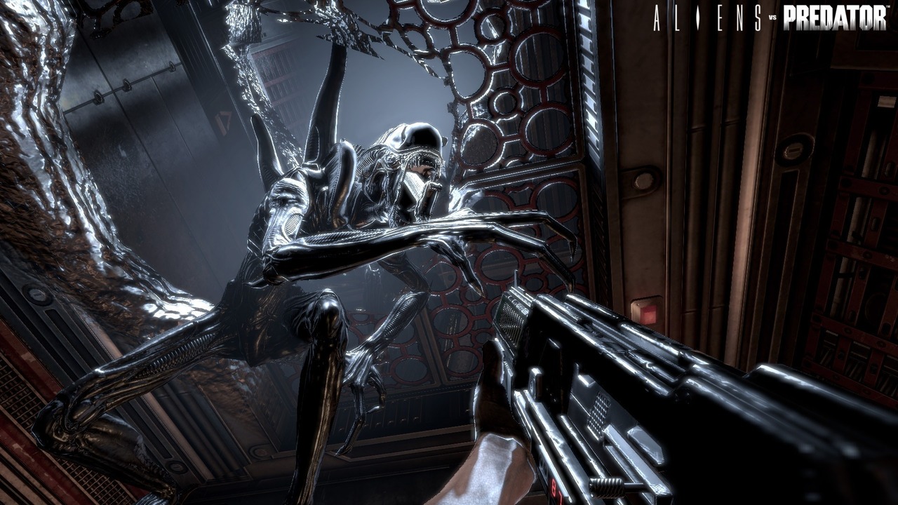 Aliens vs Predator : la chasse en images