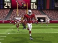 Madden NFL 10 : premières images