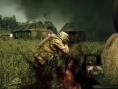 Operation Flashpoint 2 : images