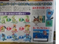 Pokémon Gold Heart and Silver Soul: new images