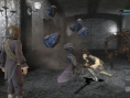 Nier: new images