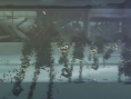 Nier: new images