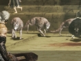 Nier: new images