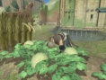 Nier: new images