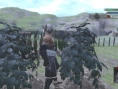 Nier: new images