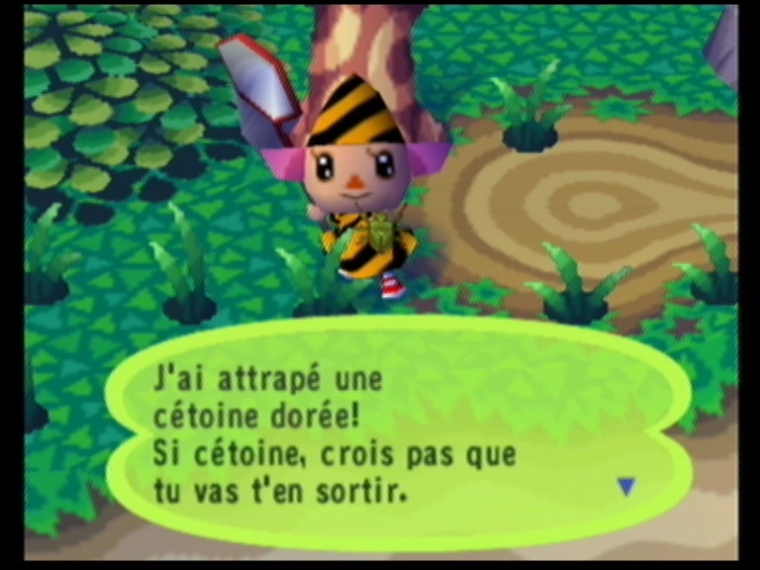 Animal Crossing en français