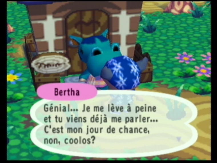Animal Crossing en français